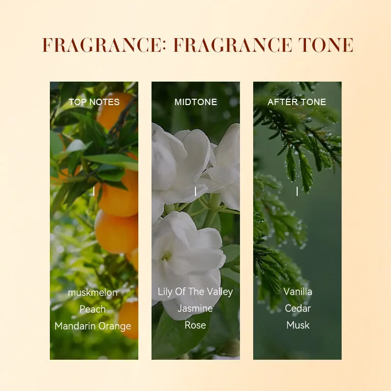 35ml Unisex Silver Spring Perfume Long Lasting Light Fresh Elegant Pure Soft Airy Feminine Clean Minimal Luxury Signature Scent