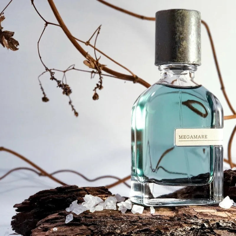 Unisex Oriental Woody Perfume 50ml Long Lasting Eau De Parfum Warm Amber Soft Musk Earthy Elegant Deep Captivating Scent