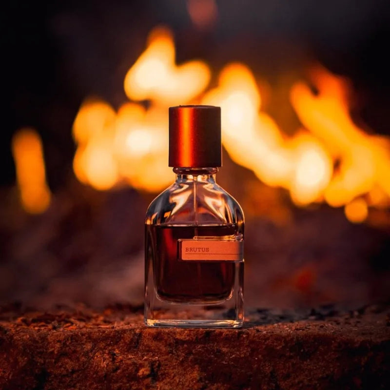Unisex Oriental Woody Perfume 50ml Long Lasting Eau De Parfum Warm Amber Soft Musk Earthy Elegant Deep Captivating Scent