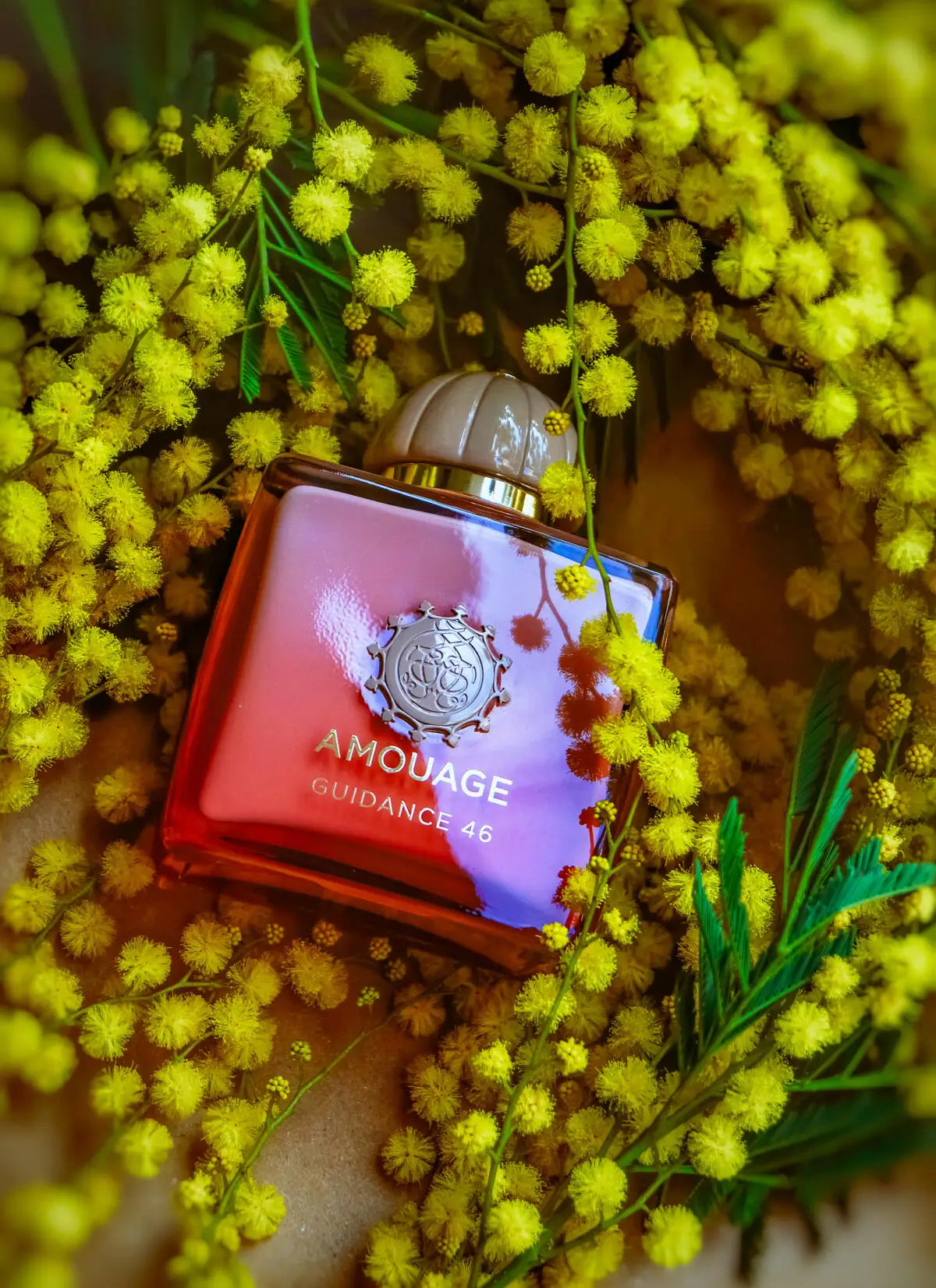 Amouage Luxury Niche Fragrance 3.4oz, Ultra-Long Lasting Scent, Perfect for Spring Weddings, Gifts for Her/Him